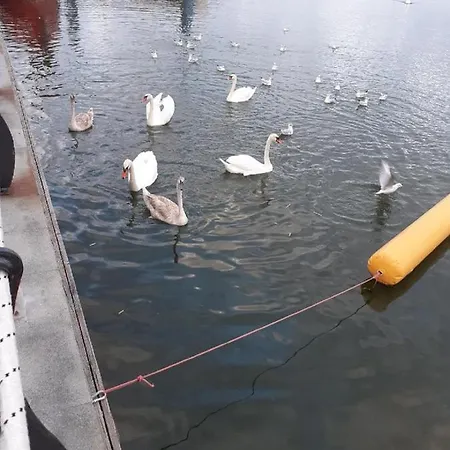 View Apartmán Constanţa