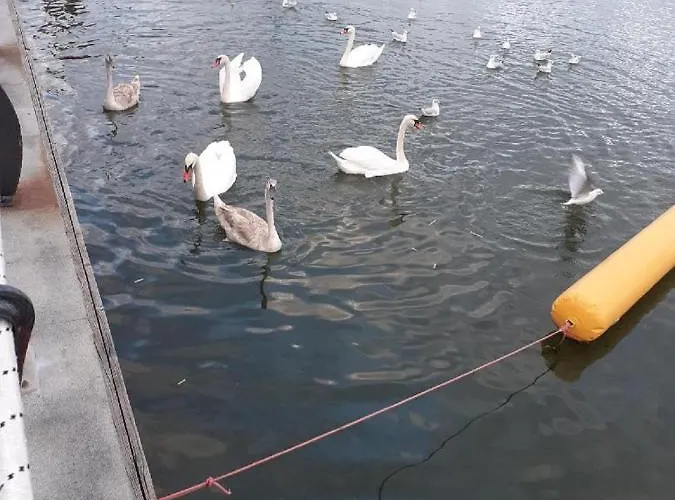 View アパート コンスタンツァ